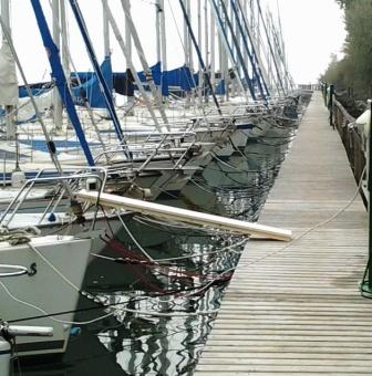 [Immagine: 2013102885548_2013-10-26 16.35.39.jpg]